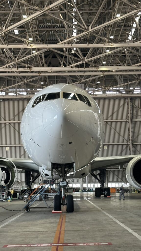 JAL機の機首を正面から見た様子